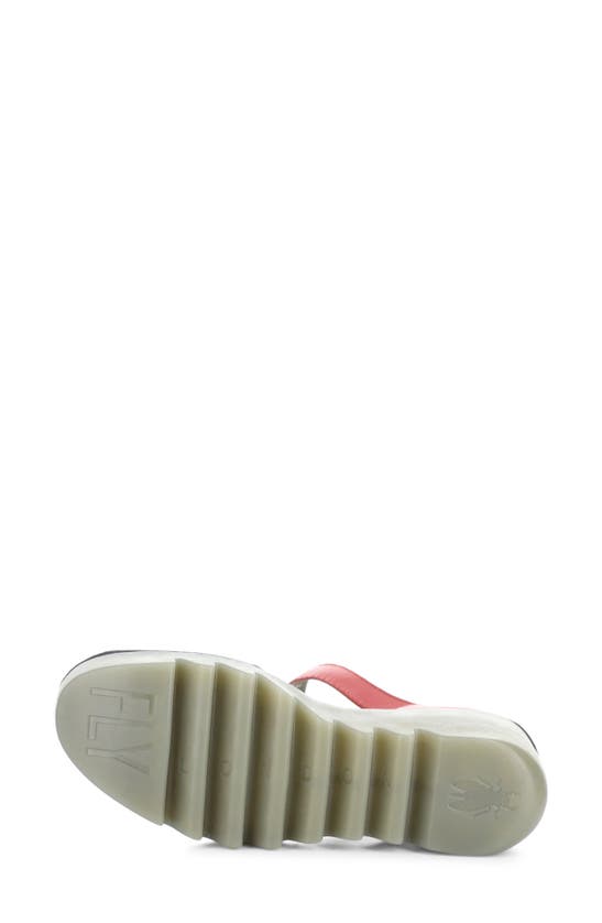 Shop Fly London Biso Wedge Pump In 011 Raspberry Ceralin