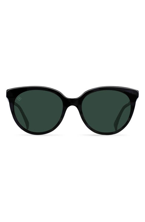 Shop Raen Lily 54mm Cat Eye Sunglasses In Crystal Black/green Polar