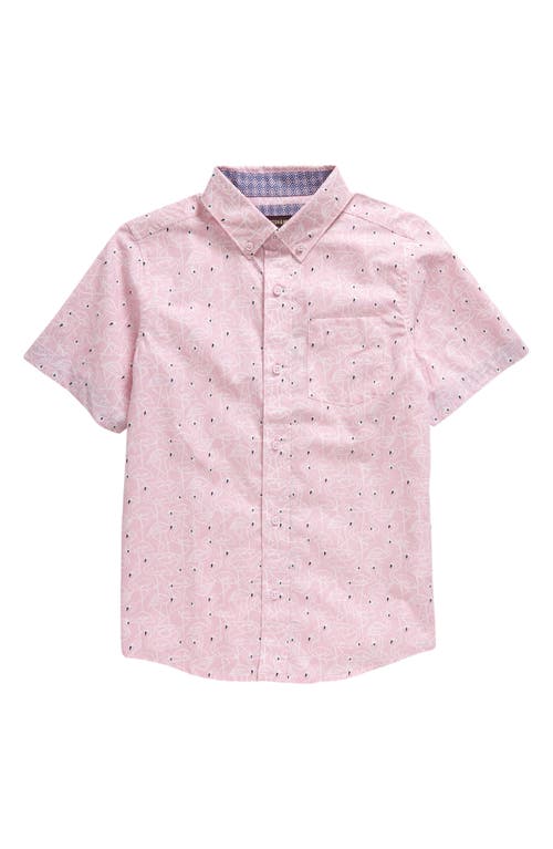 Johnston & Murphy Kids' Flamingo Print Short Sleeve Cotton Button-Down Shirt Pink at