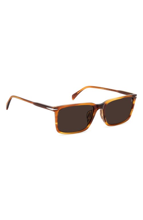 David Beckham Eyewear 58mm Rectangular Sunglasses In Brown Horn/brown