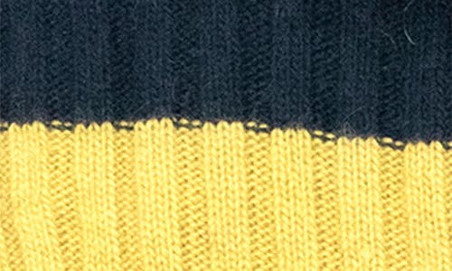 Portolano Striped Ribbed Scarf In Navy/mustard