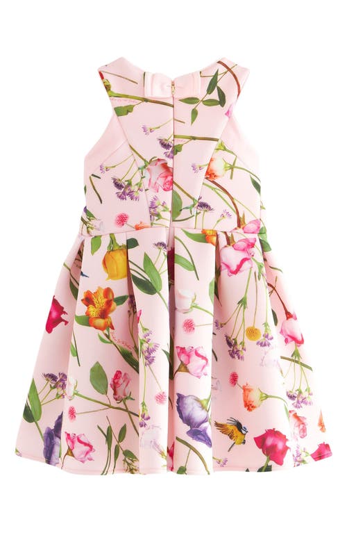 Shop Ted Baker Baker By  Kids' Rose Print Scuba Dress In Pink