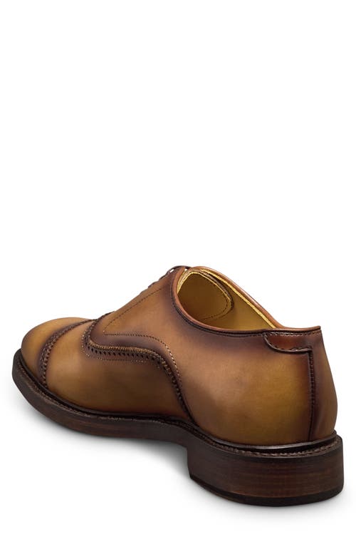 Allen Edmonds Murray Cap Toe Oxford In Walnut