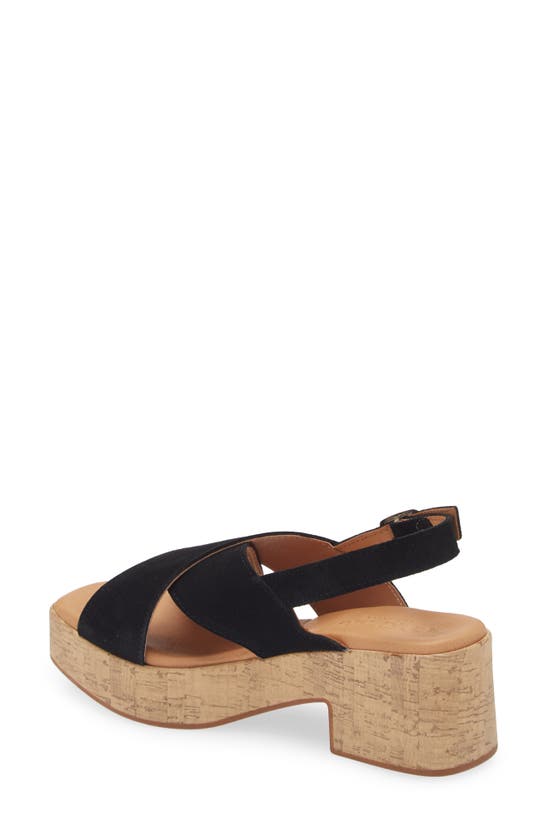 Cordani Malin Platform Sandal In Black Suede