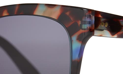 TOMS TOMS NATASHA 53MM POLARIZED SQUARE SUNGLASSES