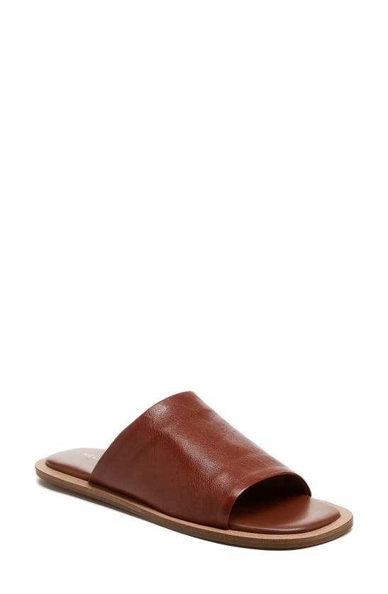 Shop Kelsi Dagger Brooklyn Benny Slide Sandal In Cider