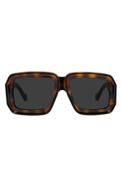 Shop Loewe X Paula's Ibiza 56mm Mask Sunglasses In Shiny Classic Havana/smoke