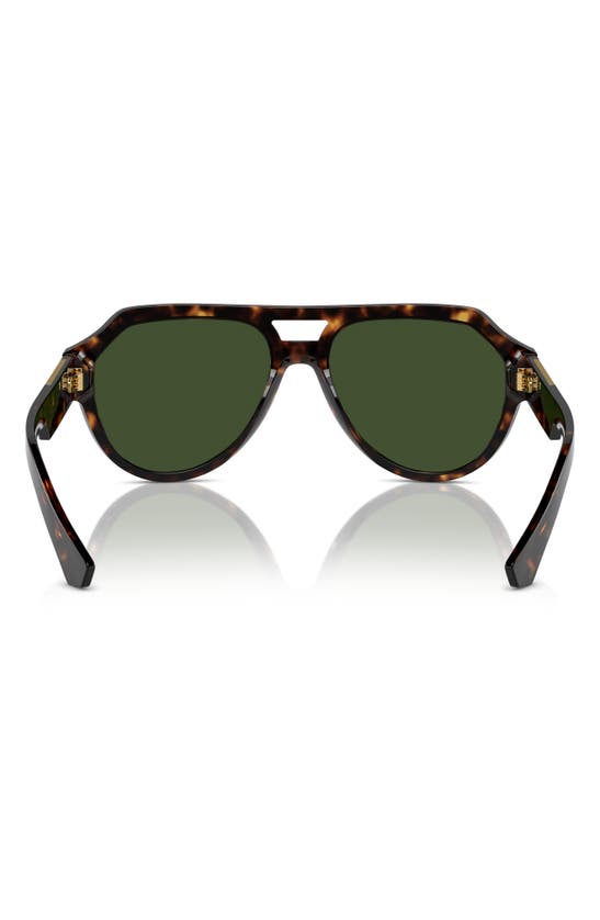 Shop Dolce & Gabbana 56mm Pilot Sunglasses In Havana