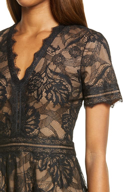 Tadashi Shoji Lace & Mesh Midi Cocktail Dress In Black/nude