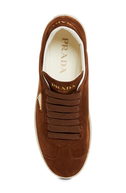 Prada Lane Triangle Logo Low Top Sneaker In Rovere