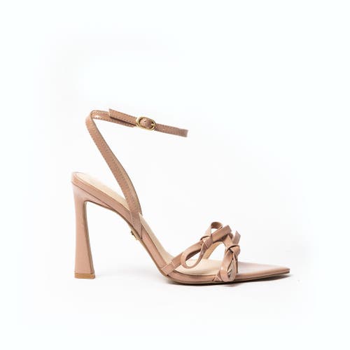 Shop Cecelia New York Aquatine Pointed Toe Ankle Strap Sandal In Taupe