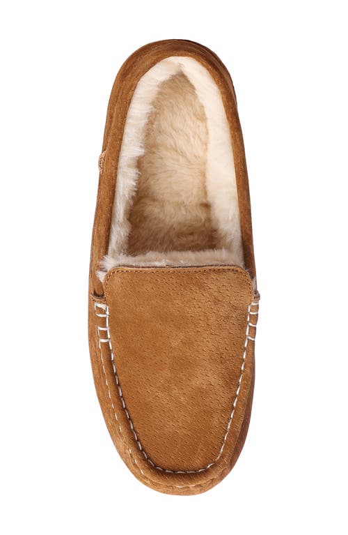 Shop Lamo Callie Faux Fur Lined Slipper In Chestnut