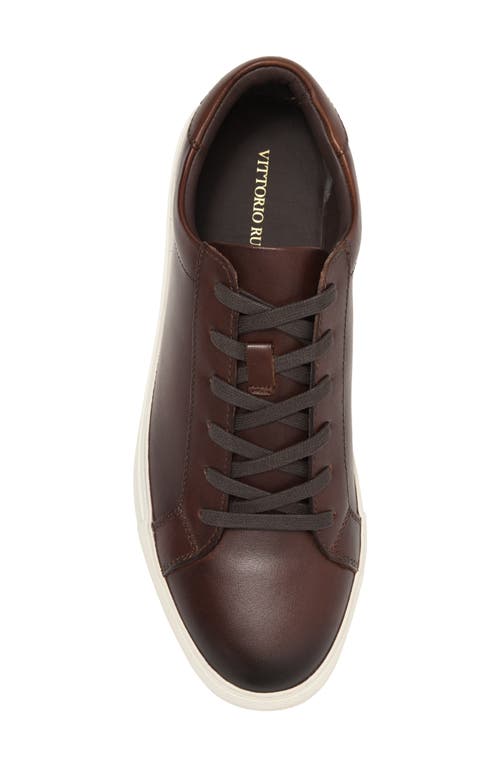 Shop Vittorio Russo Adan Low Top Sneaker In Chestnut