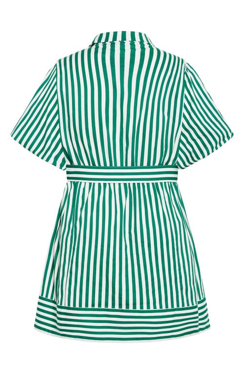 Shop City Chic May Stripe Stretch Poplin Shirtdress In Green Stripe