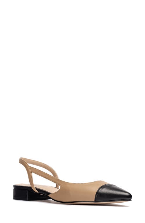 Shop Jon Josef Rio Slingback Pointy Cap Toe Flat In Black/tan Combo