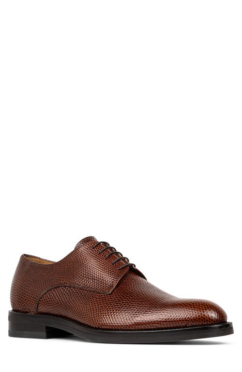 Shop Donald Pliner Russell Derby In Whiskey