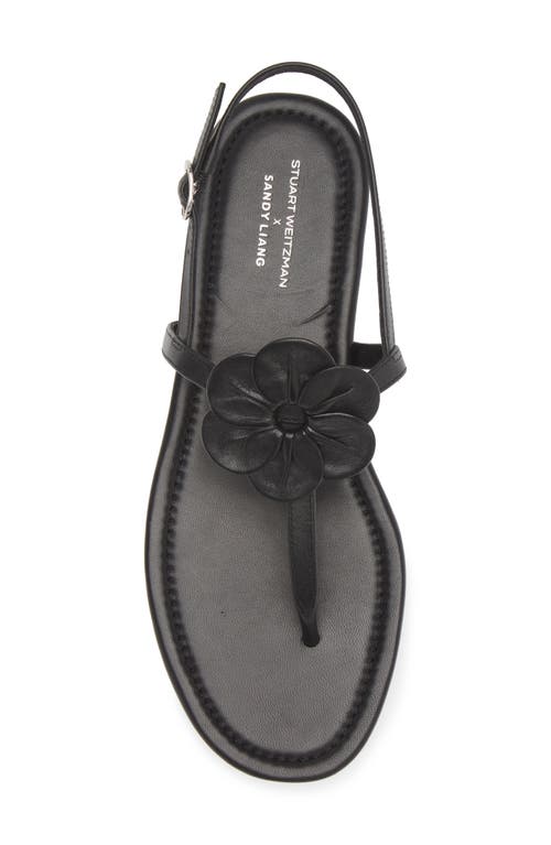Stuart Weitzman X Sandy Liang T-strap Slingback Sandal In Black Smooth Calf