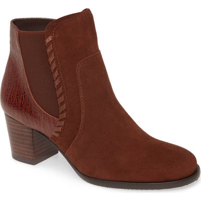 David Tate Odyssey Bootie, Brown
