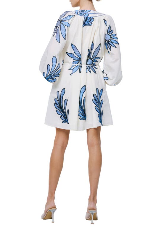 Shop Ciebon Viena Embroidered Long Sleeve Cotton Minidress In Stone/blue