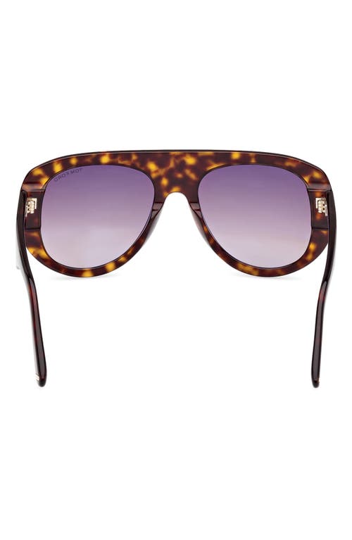 Shop Tom Ford Cecil 55mm Pilot Sunglasses In Shiny Dark Havana/bordeaux