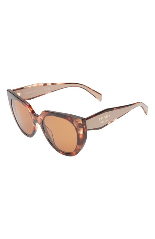 Shop Prada 52mm Irregular Sunglasses In Caramel Havana