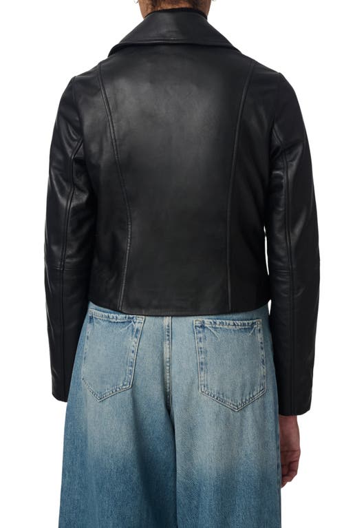 Shop Bernardo Crop Faux Leather Moto Jacket In Black