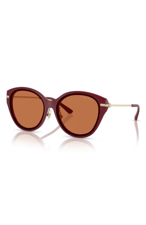 Shop Michael Kors 59mm Round Sunglasses In Dark Red