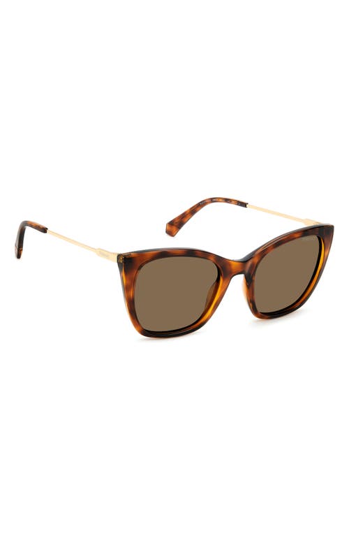 Polaroid 52mm Polarized Cat Eye Sunglasses In Havana/bronze Polar