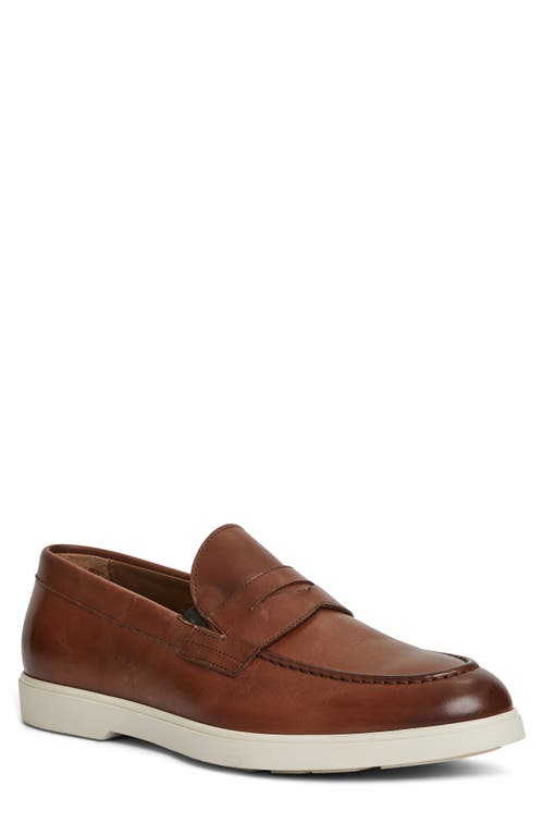 Bruno Magli Ettore Penny Loafer in Cognac