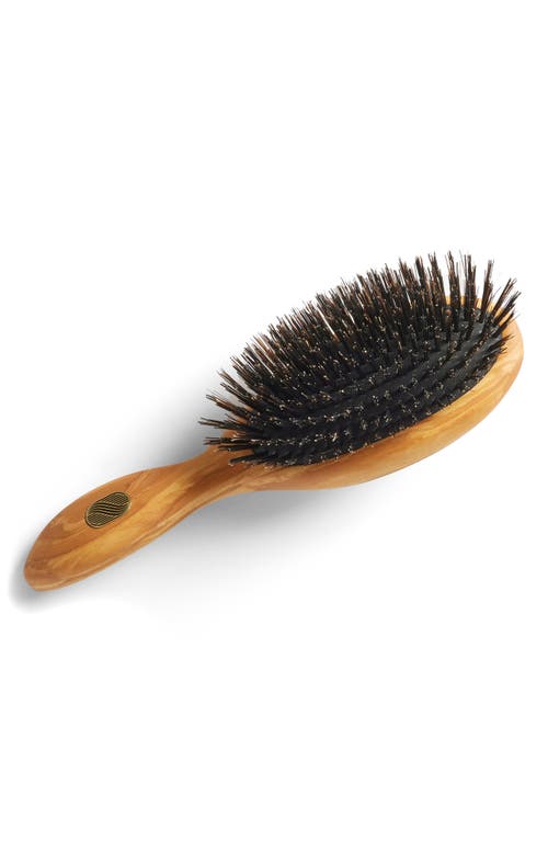 Shop Altesse Studio Beaute Classic Repair & Shine Brush For Thick Or Curly Hair In No Color