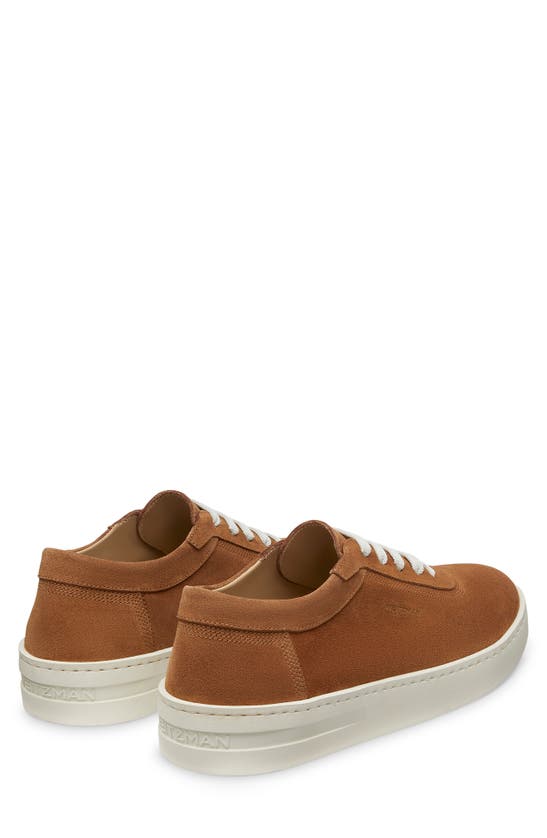 Shop Stuart Weitzman Hamptons Sneaker In Tan