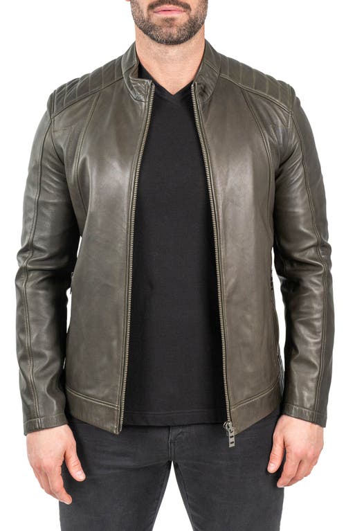 Maceoo Leather Moto Jacket in Brown 