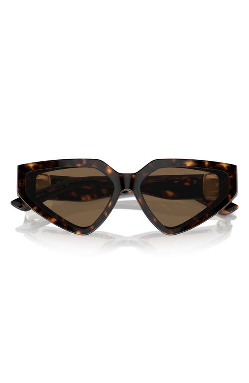 Shop Dolce & Gabbana Dolce&gabbana 59mm Butterfly Sunglasses In Havana