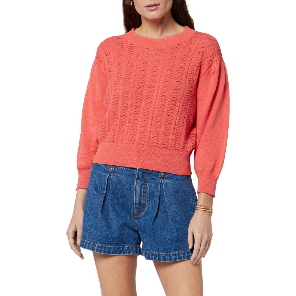Shop Joie Pointelle Organic Cotton Sweater In Spiced Coral