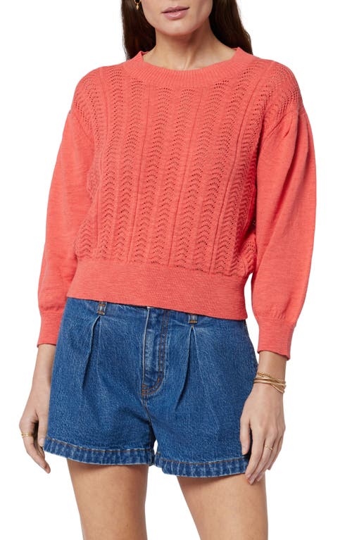 Joie Pointelle Organic Cotton Sweater Spiced Coral at Nordstrom,
