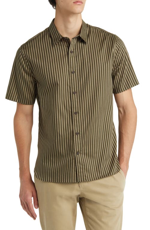 Vince Claremont Stripe Short Sleeve Button-Up Shirt in Sierra Pine/New Camel at Nordstrom, Size X-Small