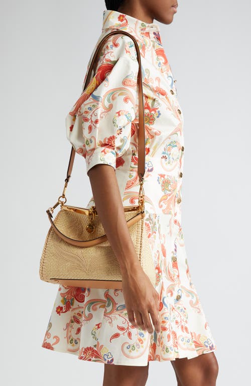 Etro Small Vela Embroidered Raffia Bag In Camel
