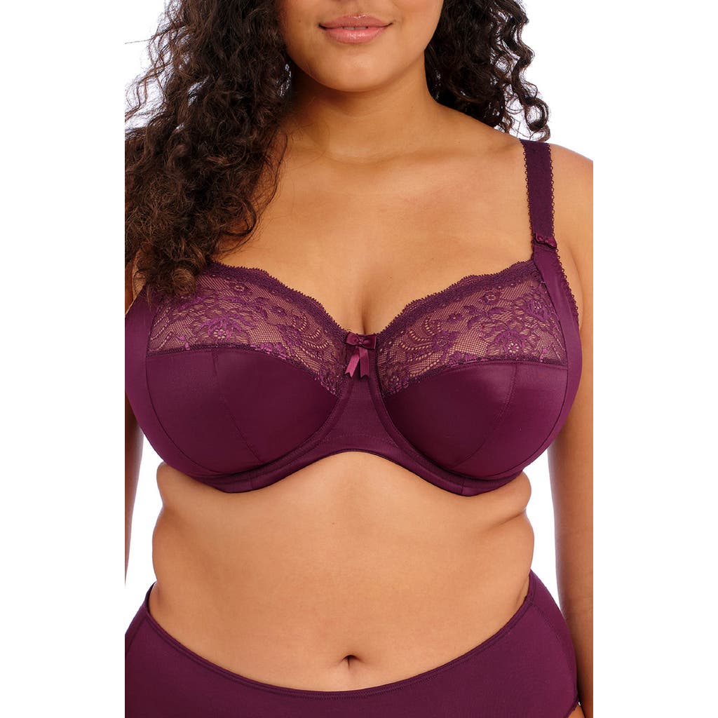 Elomi Morgan Full Figure Underwire Bra In Blackberry