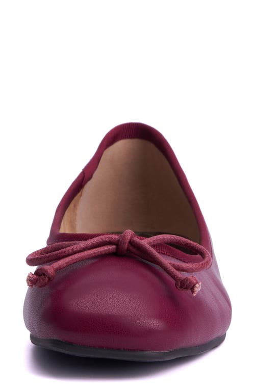 New York And Company Paulina Ballet Flat In Burgundy
