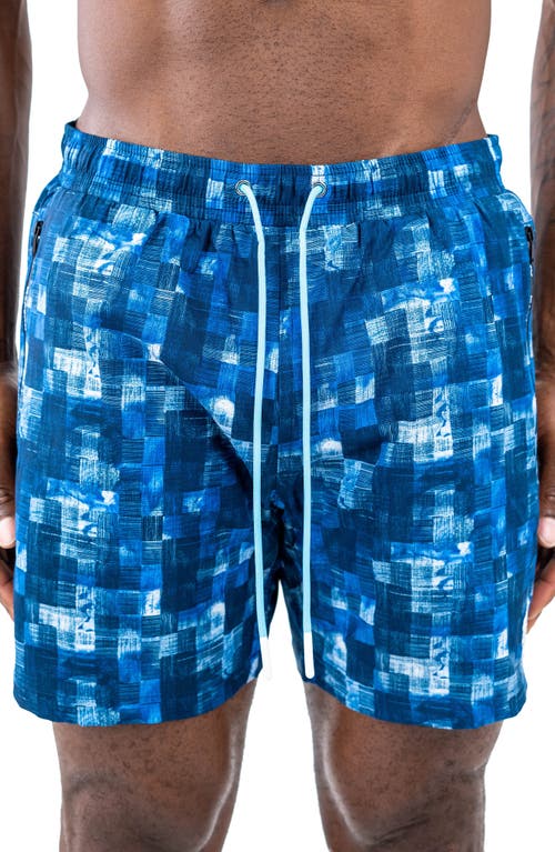 Maceoo Swim Lion Checkquered31 Swim Trunks in Blue at Nordstrom, Size 2