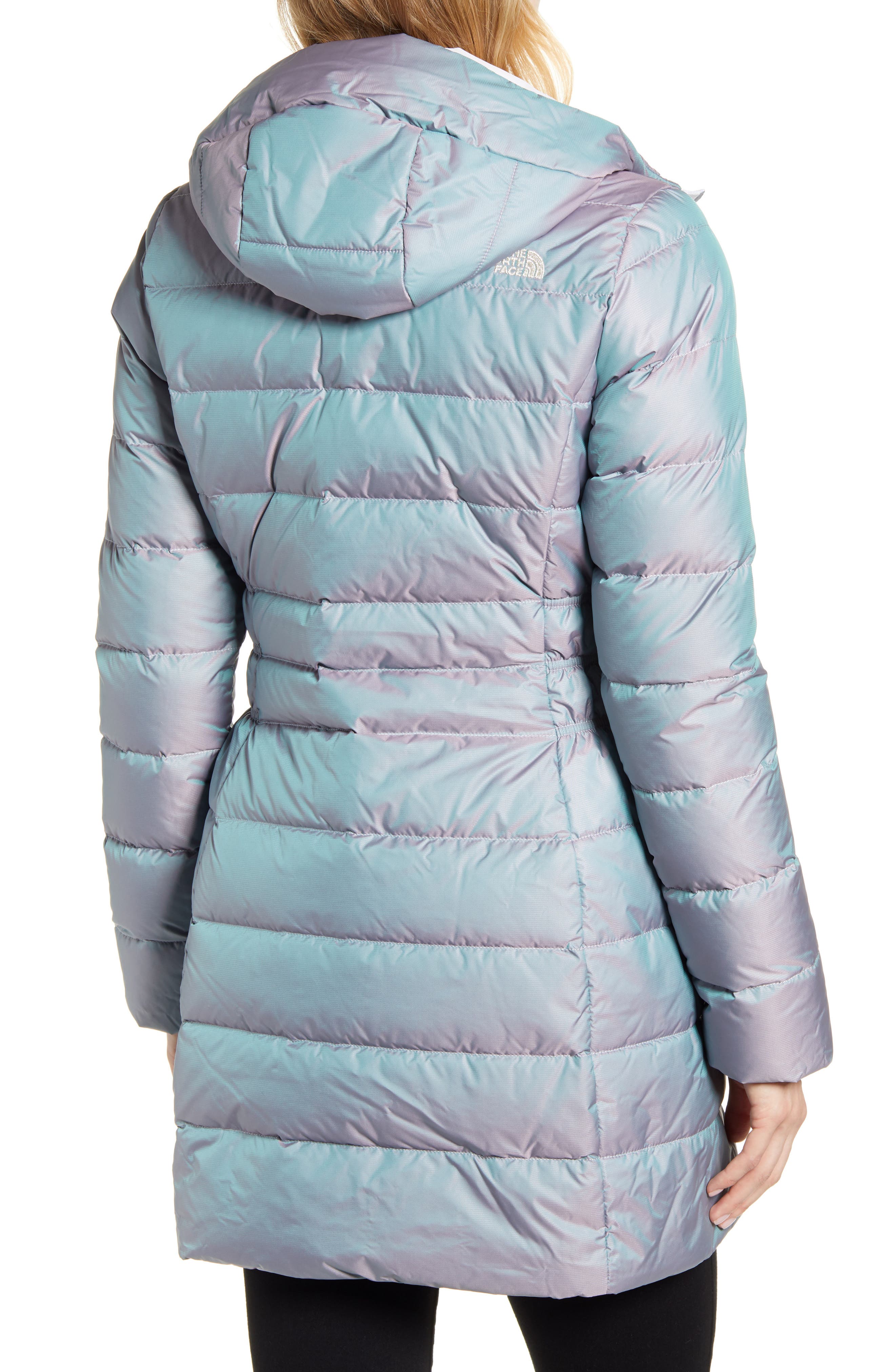 blue frost iridescent north face