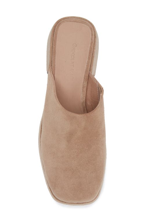 Shop Chocolat Blu Hedia Platform Mule In Latte Suede