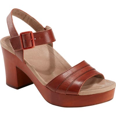 Earth Chestnut Platform Sandal- Brown
