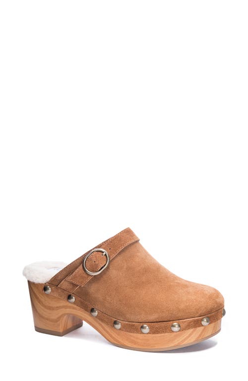Chinese Laundry Carlie Clog in Brown Suede