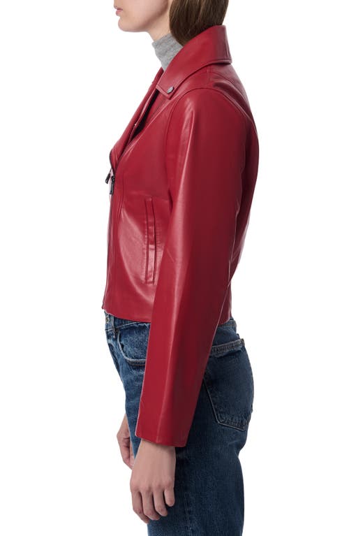Bernardo Faux Leather Moto Jacket In Red