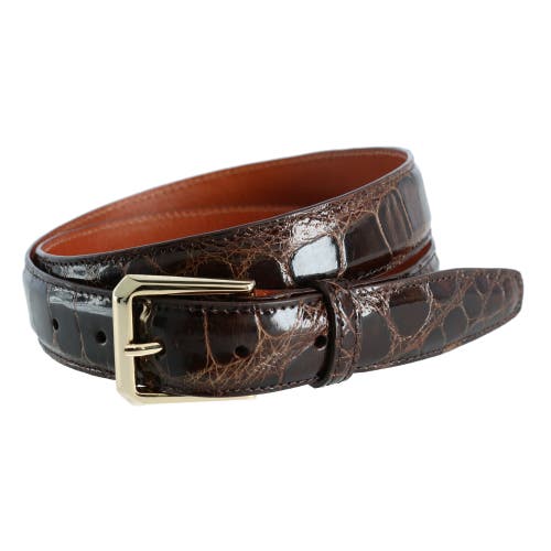 Shop Trafalgar Classic 30mm Genuine Glazed Alligator Belt In Dark Brown