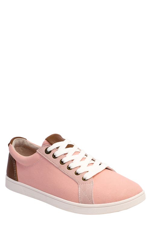 Avalon Canvas Sneaker in Pink