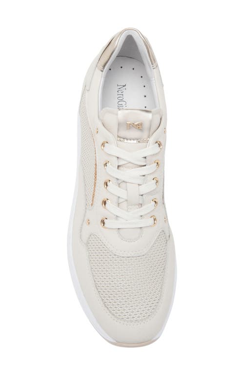 Shop Nerogiardini Perfed Platform Sneaker In Beige/khaki