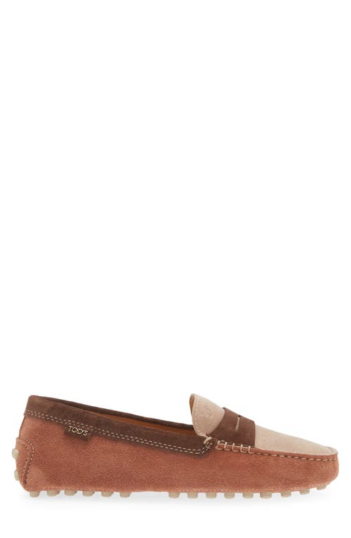 Shop Tod's Colorblock Penny Loafer In Cotto Chiaro