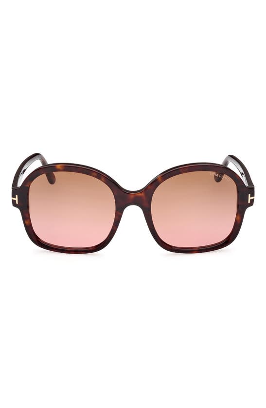 Tom Ford Hanley 57mm Butterfly Sunglasses In Shiny Dark Havana / Brown